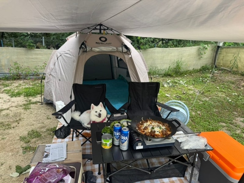 경기도 포천 애견전용 캠핑 야영장 : 위드독스in 포천