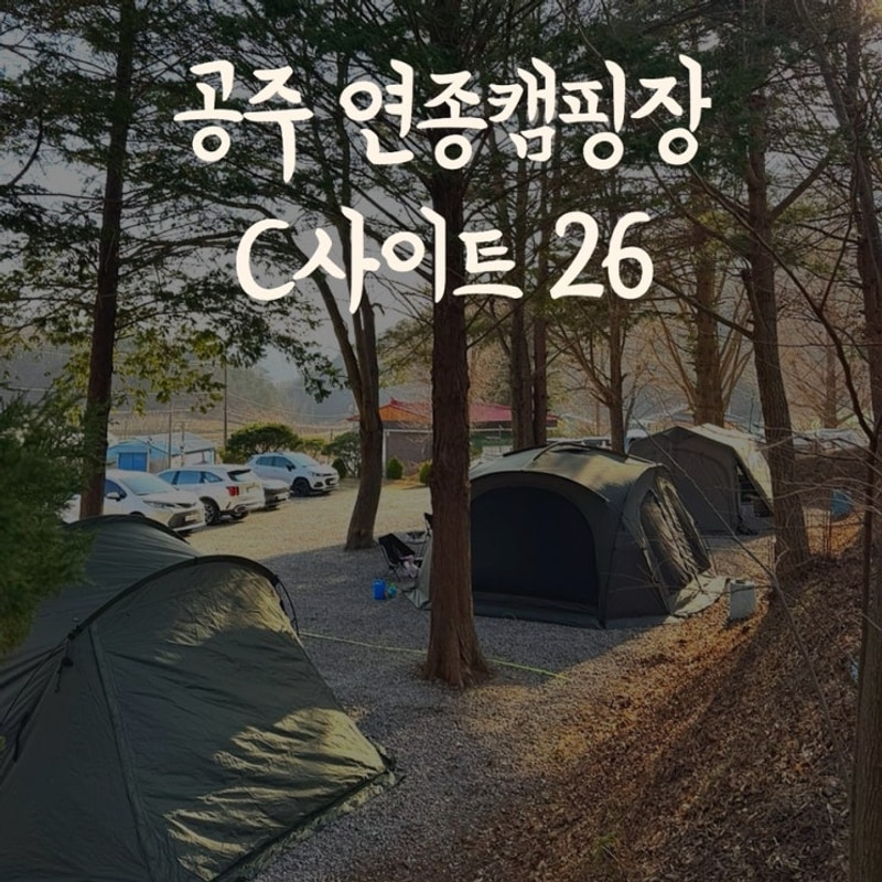 공주 연종캠핑장 C사이트 26