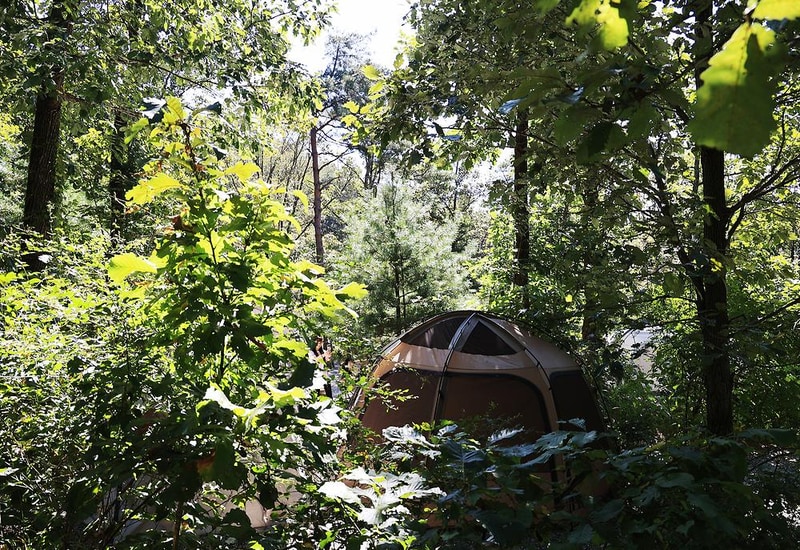 춘천 더숲 캠핑장 시설 사진 5