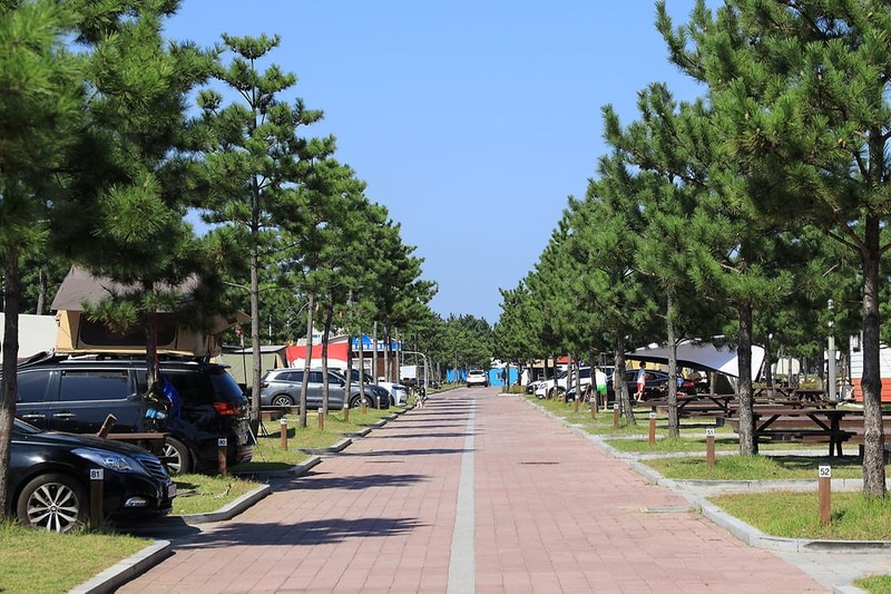 봉수대오토캠핑장 시설 사진 9