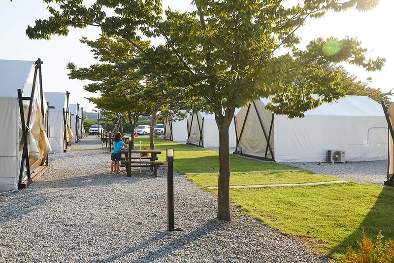 노을빛바다애글램핑 시설 사진 17