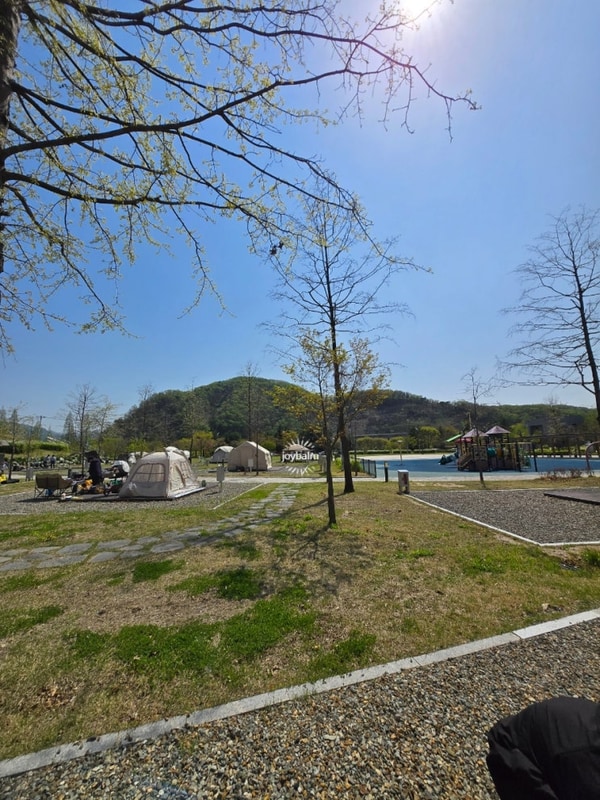 [연천] 푸릇푸릇한 세계캠핑체험존 별빛야영장