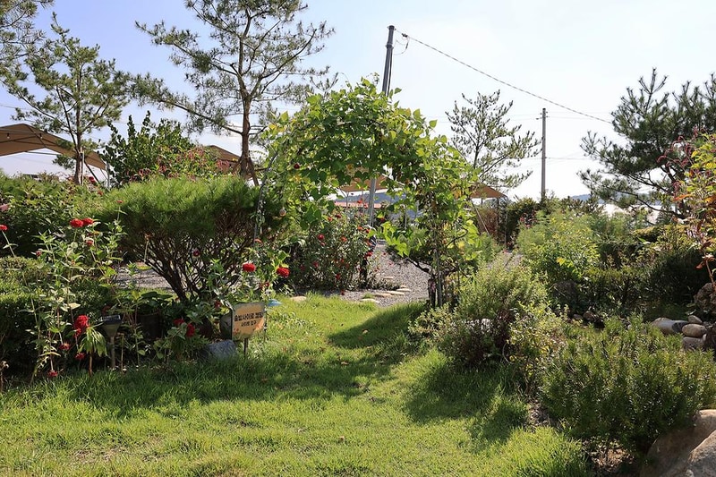 솔밭사이로 캠핑&펜션 시설 사진 14