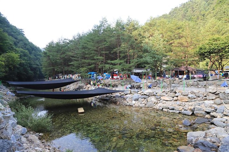 도원패밀리캠핑장 대표 사진