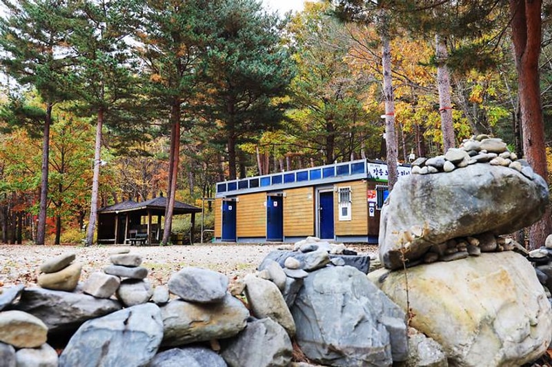 강릉 노추산 힐링캠프 대표 사진