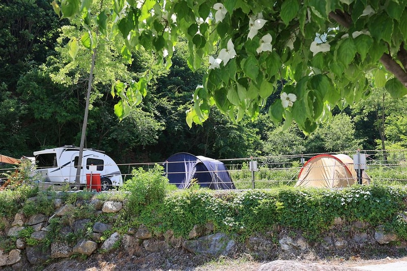 비발디캠핑파크 미루나무점 시설 사진 1