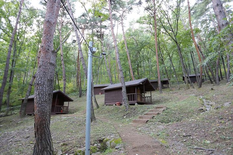 계명산자연휴양림 야영장 대표 사진