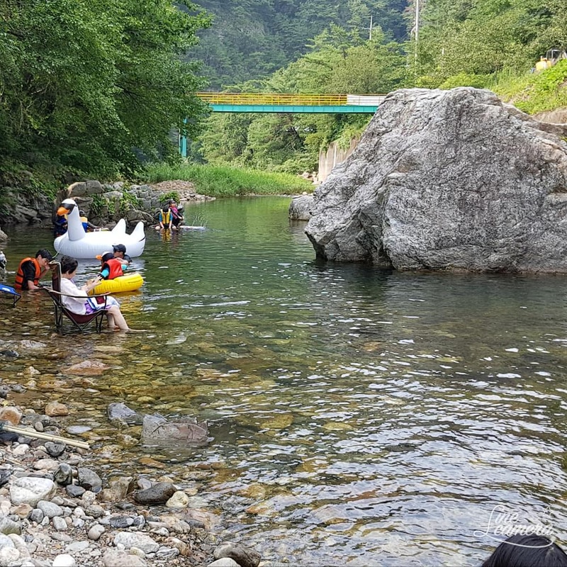 영월아트앤캠프장 시설 사진 22