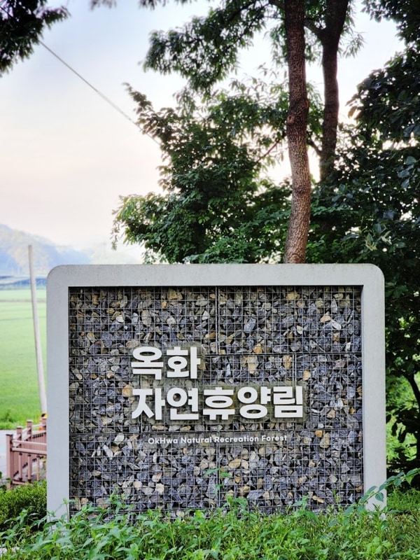 옥화자연휴양림 여름휴가 3박4일 캠핑장 우리집