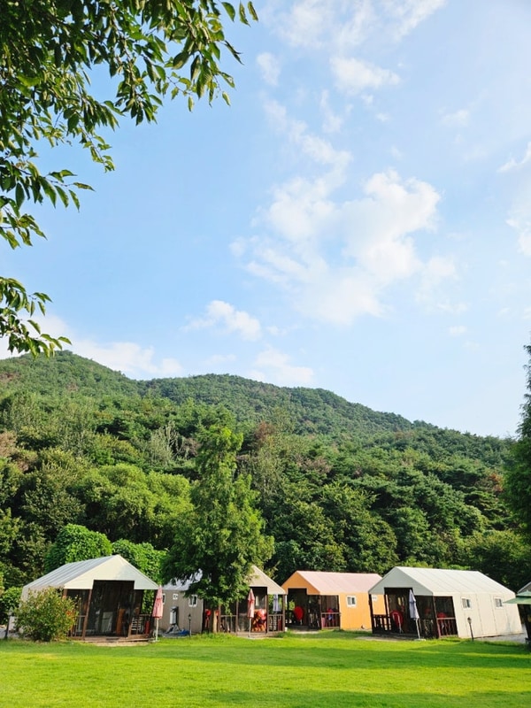 청도 아빠의 캠프 글램핑 후기 아이와 가기 좋은 청도 가족...