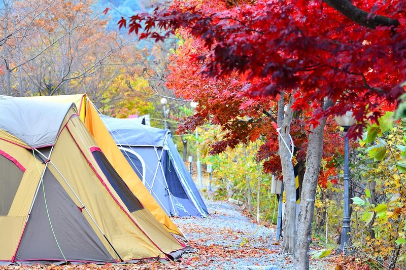 늘푸른쉼터 시설 사진 4