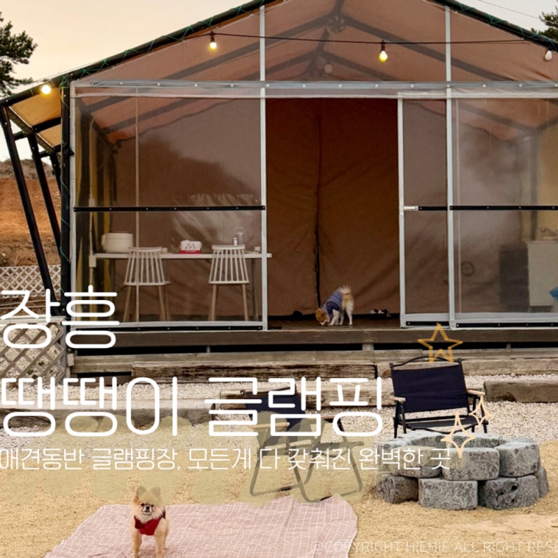 광주 근교 전남 장흥 땡땡이 글램핑 캠핑장 가족여행 애견 동반...