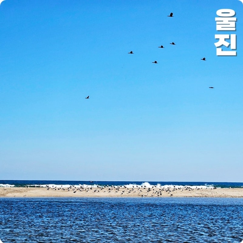 경북울진여행 코스 동해 바다 뷰 염전해변 캠핑장 왕피천 망양정