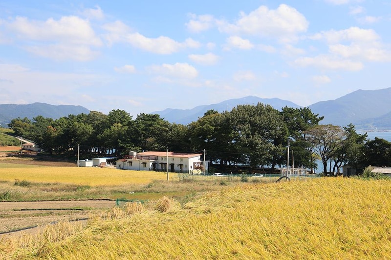 숙호야영장 시설 사진 4