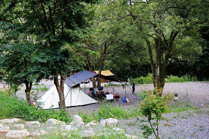 오아시스정글 시설 사진 3