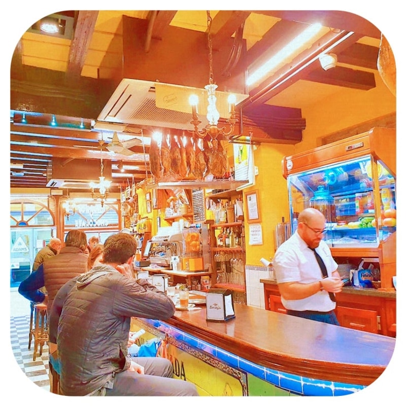 충주 클럽멤피스 글램핑에서 만나는 자연과 힐링의 순간