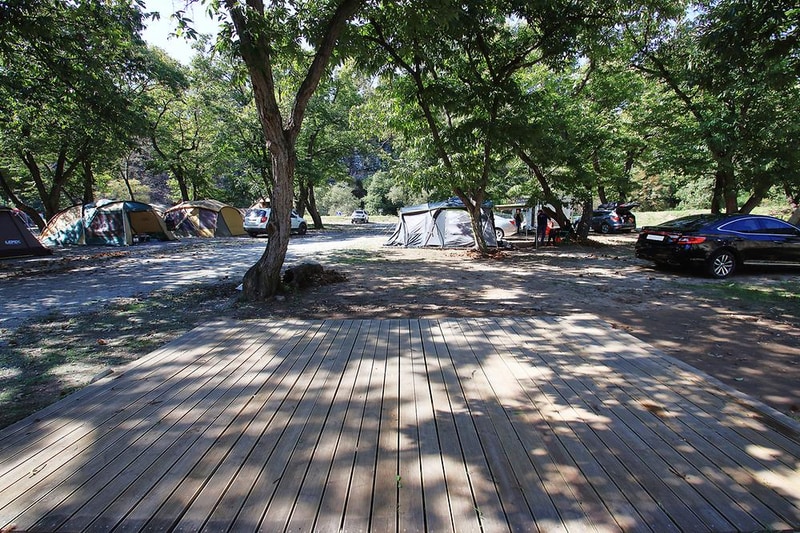 초평밤나무 시설 사진 10