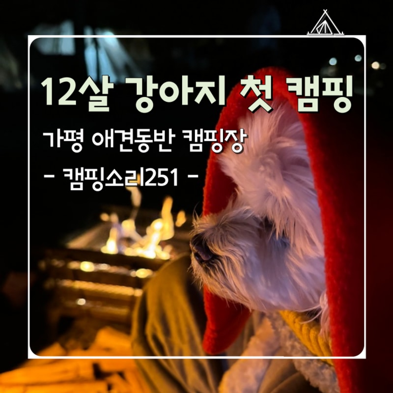 첫 캠핑 로그 서울근교 가평 애견 동반 캠핑장 캠핑소리251