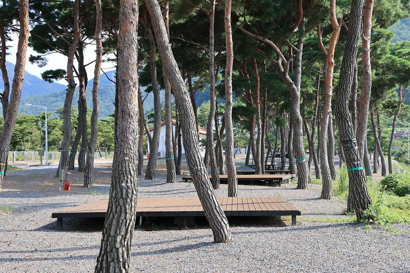 초록여울 캠핑장 시설 사진 8