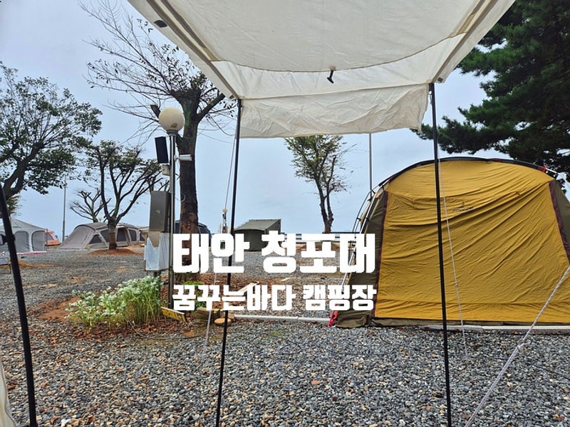 [태안 꿈꾸는바다 캠핑장] 오션뷰 해루질 명소! 파쇄석 1-2번...