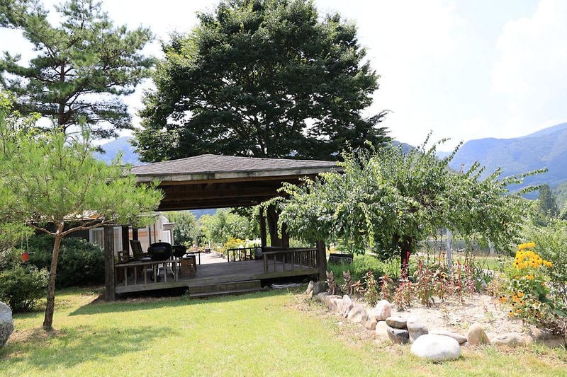 꿈꾸는 강 펜션 & 카라반 시설 사진 1