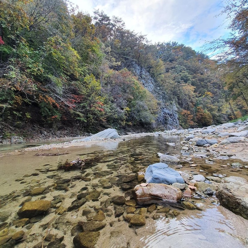 강원 홍천 알프스밸리 캠핑나라 글램독 시설 사진 7