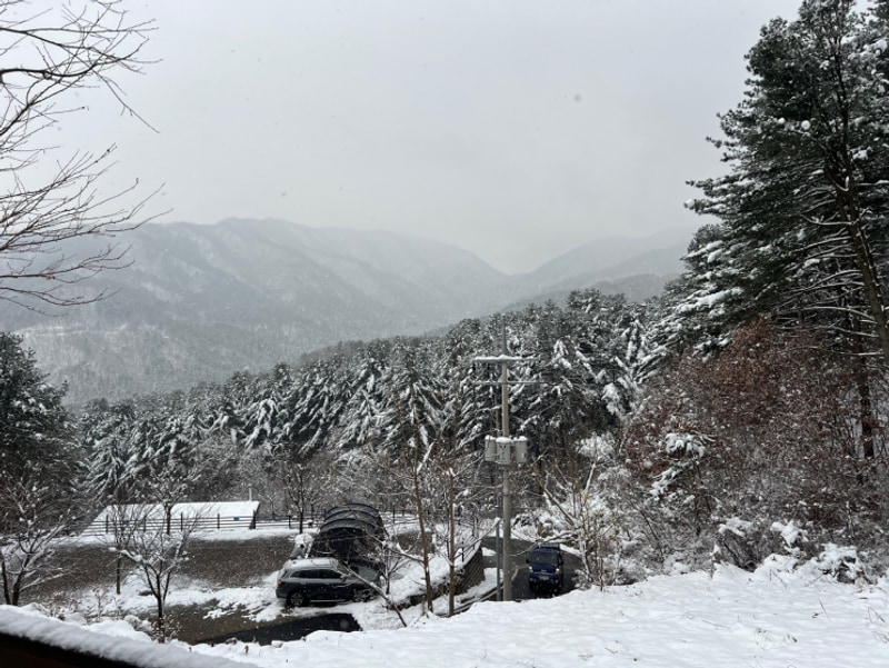 [가평 캠핑장] 산속 경치가 아름다운 블루문캠핑장(feat. C...