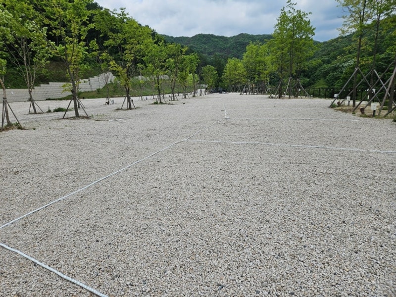 25.05.17 포천 포레스트사운드 캠핑장