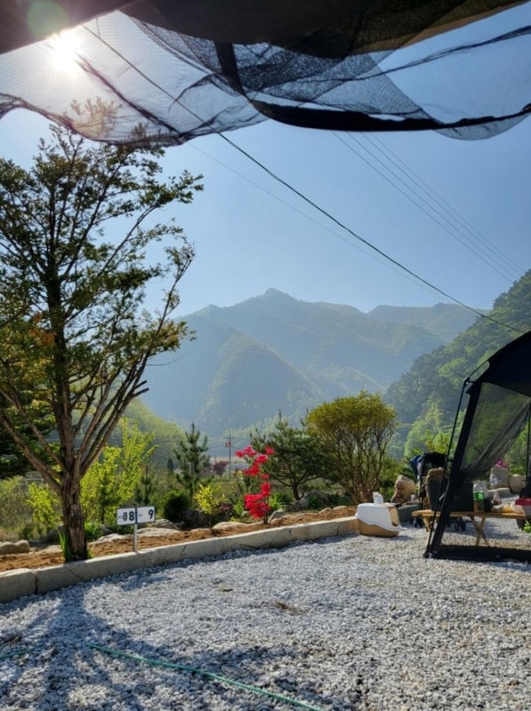 파인트리캠핑장 시설 사진 1