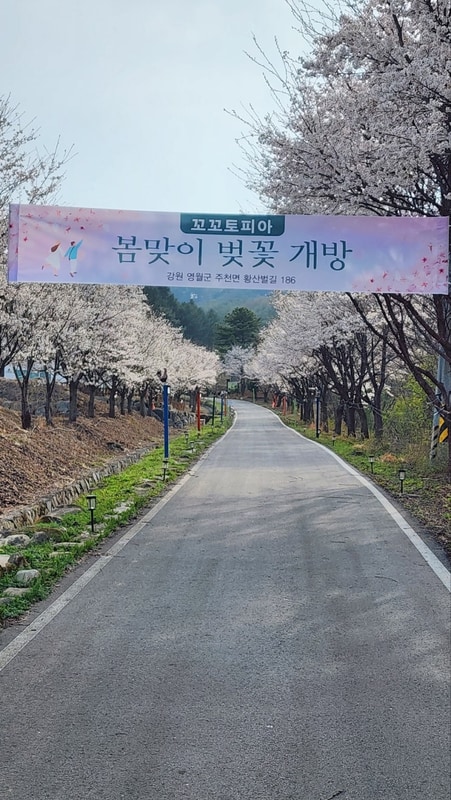 꼬꼬토피아 캠핑&펜션, 반려동물 동반 가능 강원도 캠핑장...