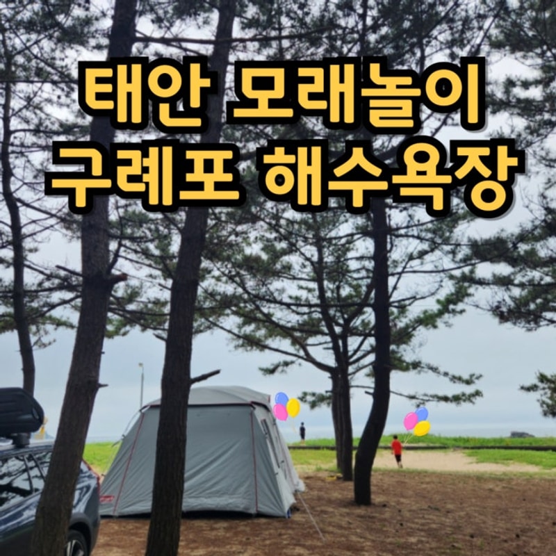 바다 앞, 소나무 그늘 아래 태안 석갱이 오토캠핑장 후기