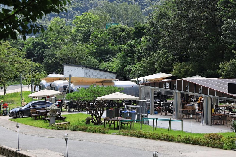 선인장 시설 사진 14