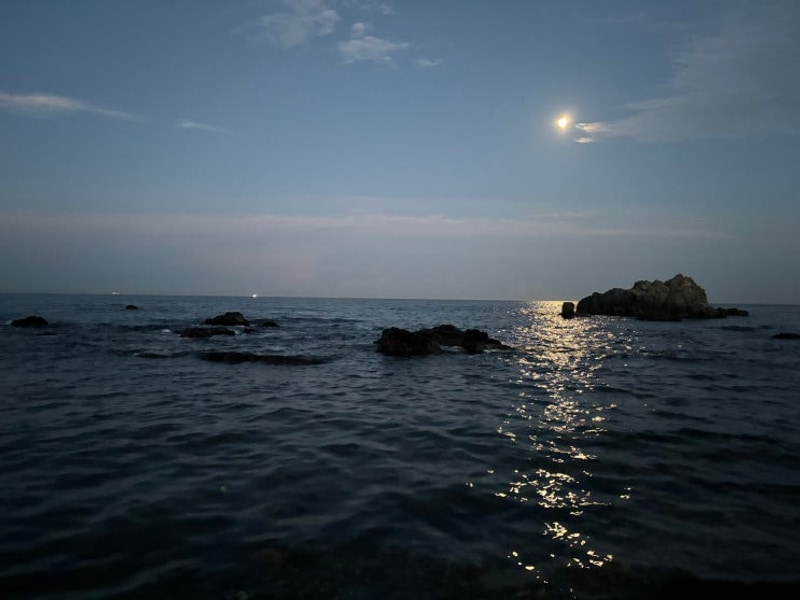 포항 블루밍 카라반 후기