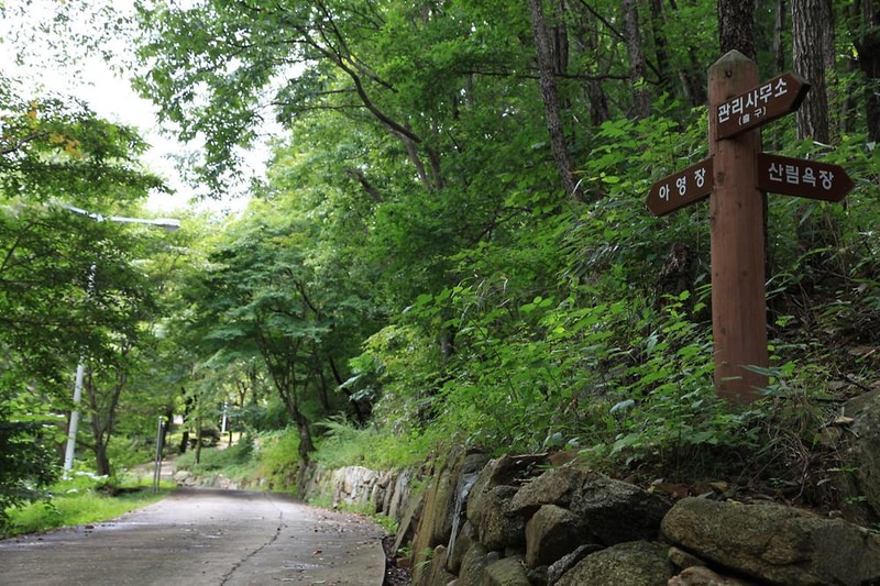 와룡자연휴양림 자동차야영장 시설 사진 5