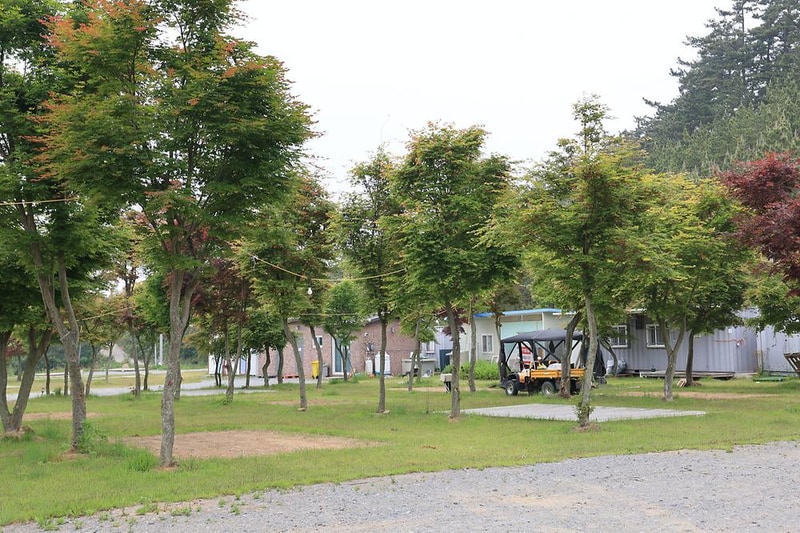 솔향기길야영장 시설 사진 3