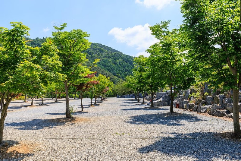 별바라기 캠핑 펜션 시설 사진 13