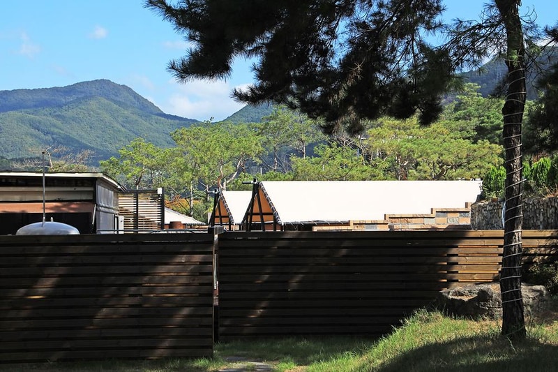 농업회사법인 오송 주식회사 시설 사진 24