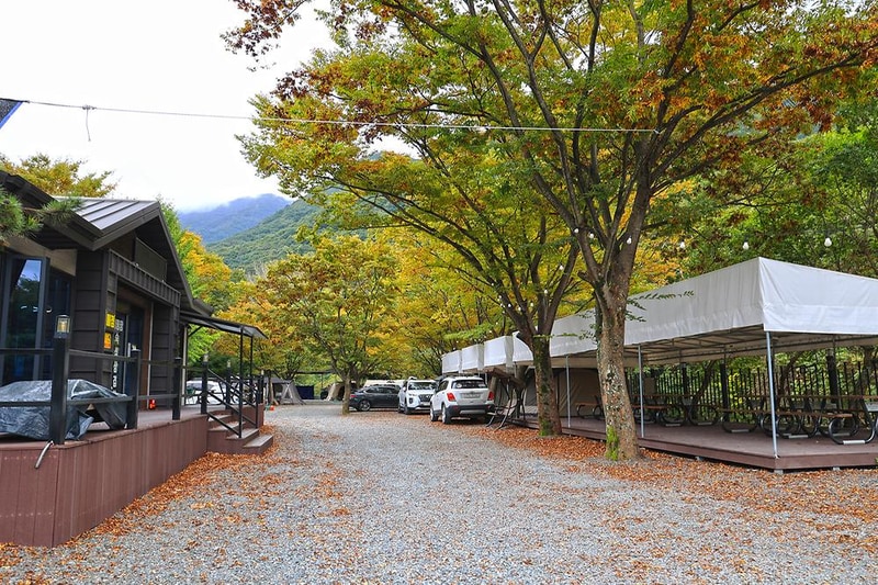 캠핑가는 날 시설 사진 1