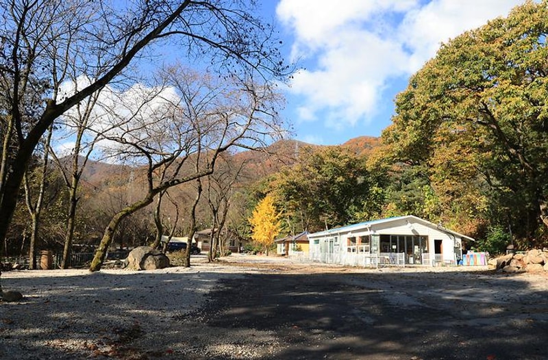딥포레스트캠핑장 대표 사진