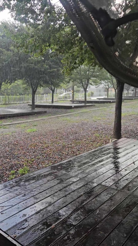 우중 캠핑 캠핑장 라면 라면죽