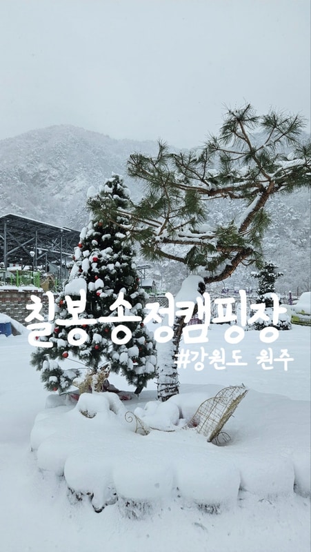 [강원도 원주 캠핑장] 할로윈캠핑은 바로 여기 칠봉송정캠핑장