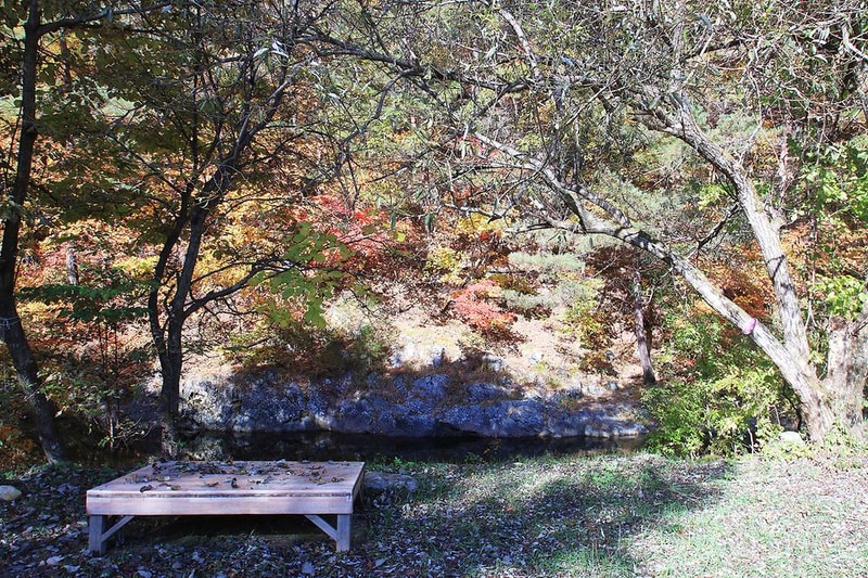 금강송 체험 야영장 시설 사진 11