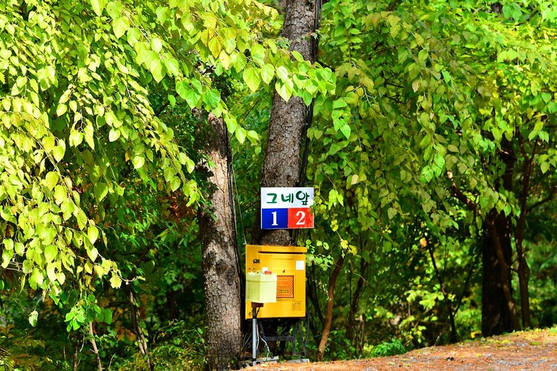 솔밭펜션캠핑장 시설 사진 4