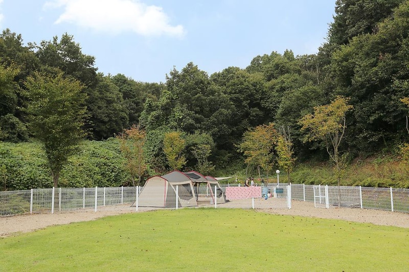 피플앤독 힐링캠핑장 시설 사진 8