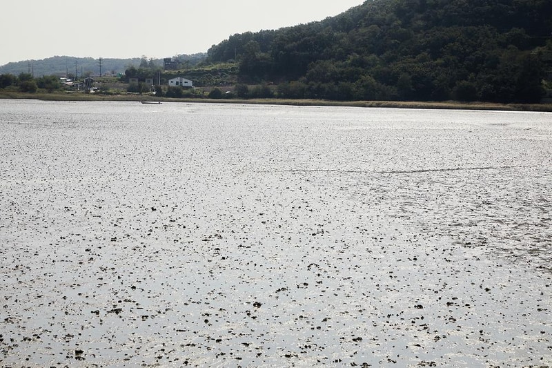 강화도 크로바 캠핑장 시설 사진 2