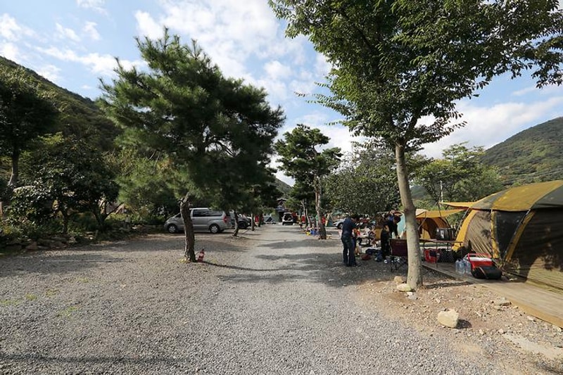 반딧불이 캠핑장 대표 사진