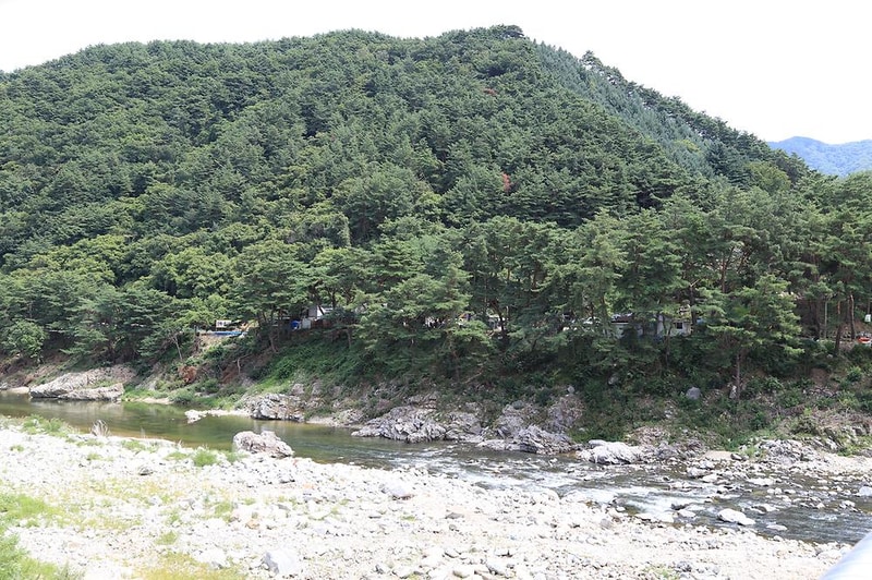 내린천솔밭힐링캠핑장 시설 사진 22