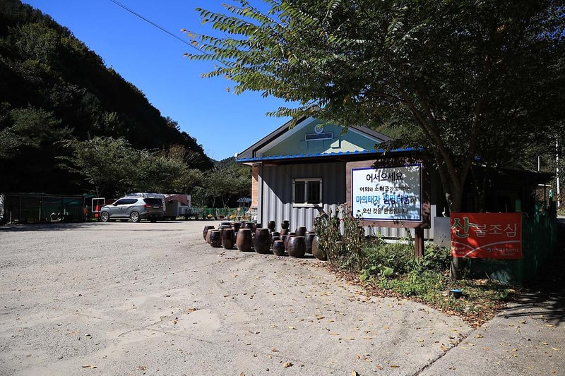 마의태자캠핑장 시설 사진 2