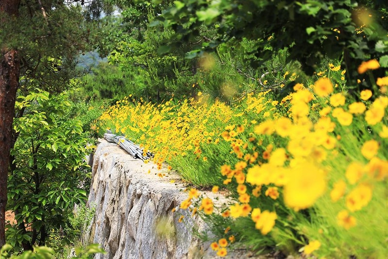 하늘정원캠핑장 시설 사진 6