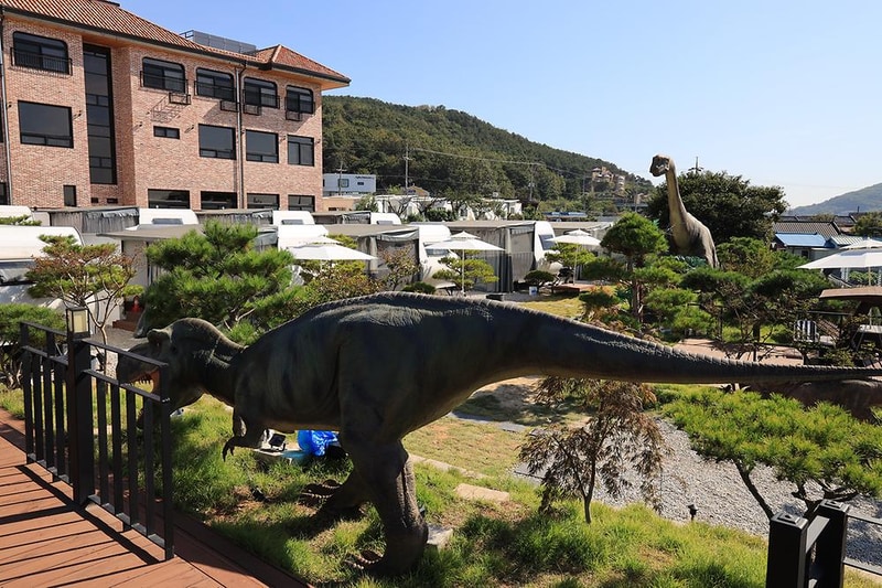 쥬라기 카라반 시설 사진 15